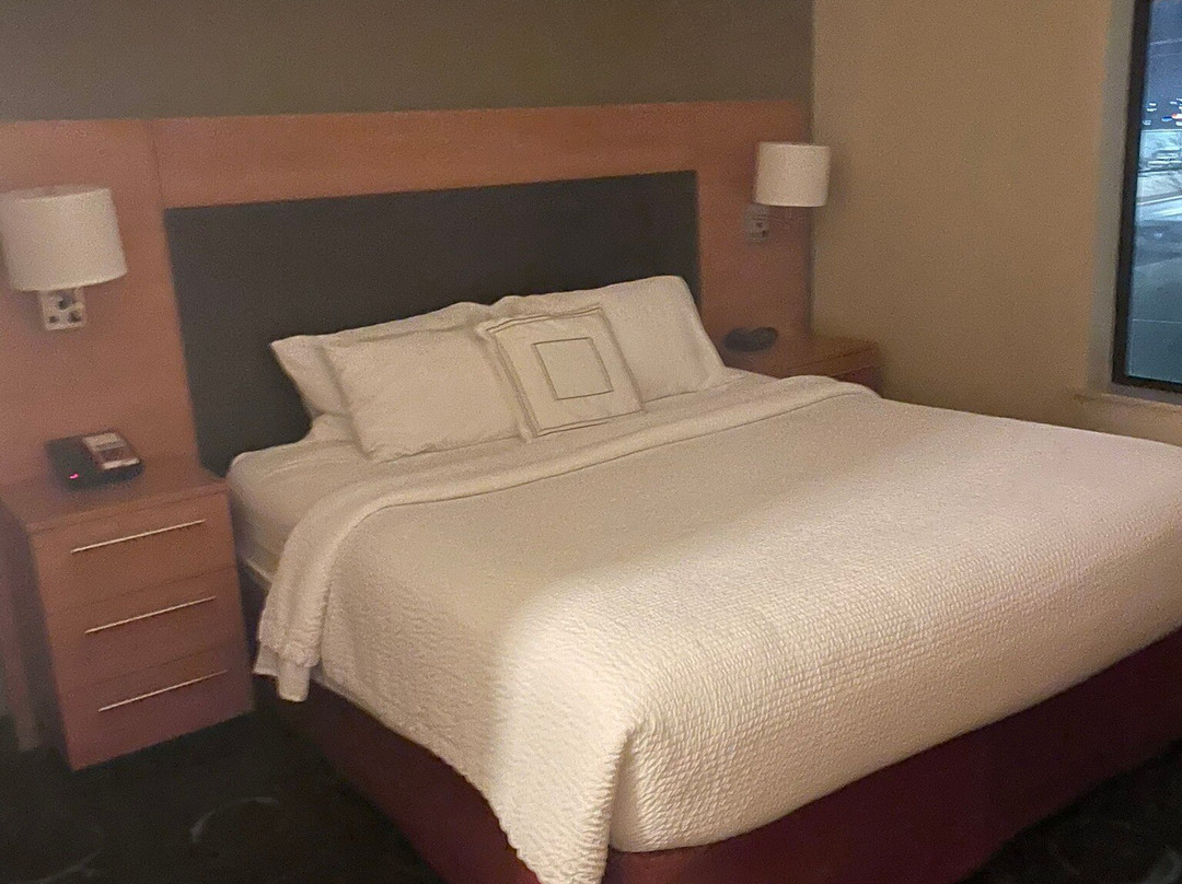 TownePlace Suites by Marriott Carlsbad主图