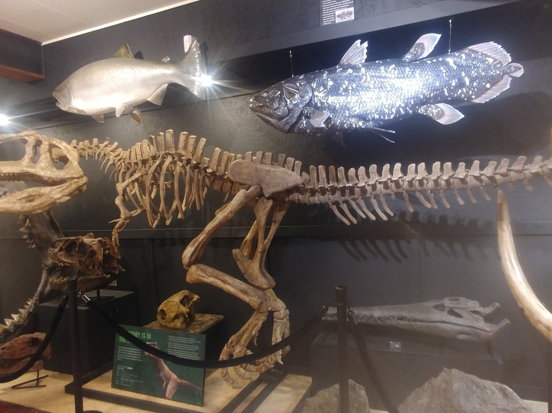 Hand of Man - Museum of Natural History, Cultural Arts & Conservation景点图片