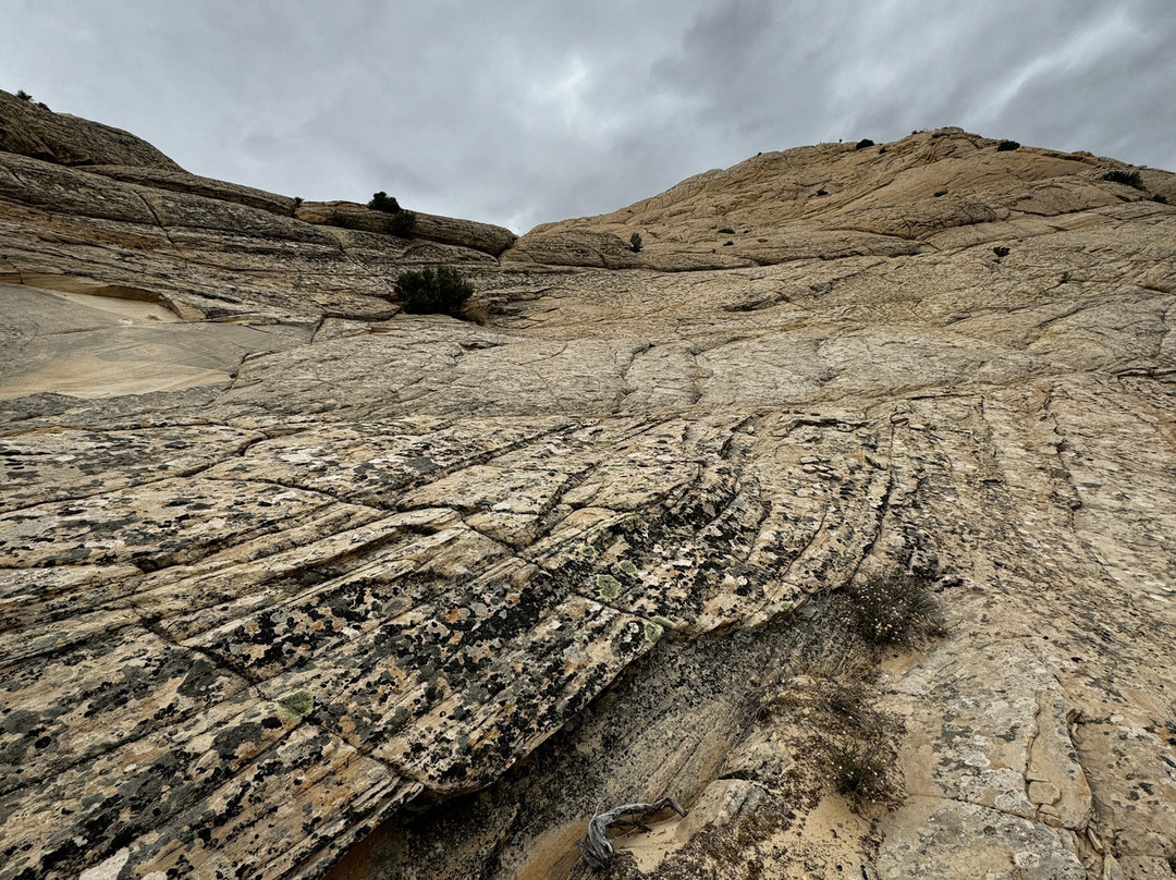 Utah Slickrock Guides-Boulder必去景点