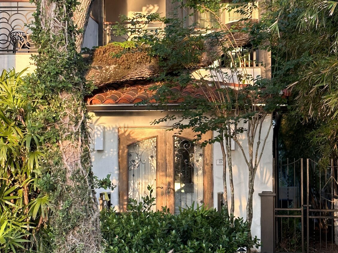 Black Dolphin Inn主图