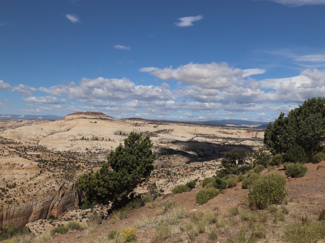 Scenic Byway 12景点图片