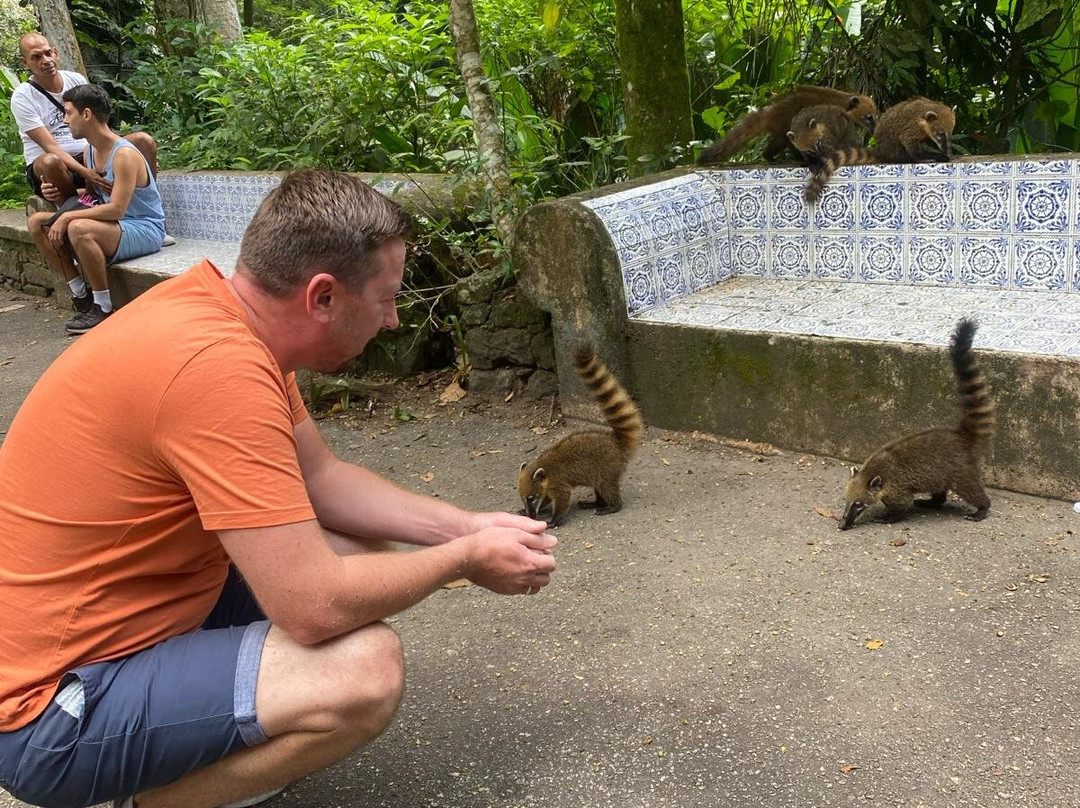 Be Free-里约热内卢必去景点