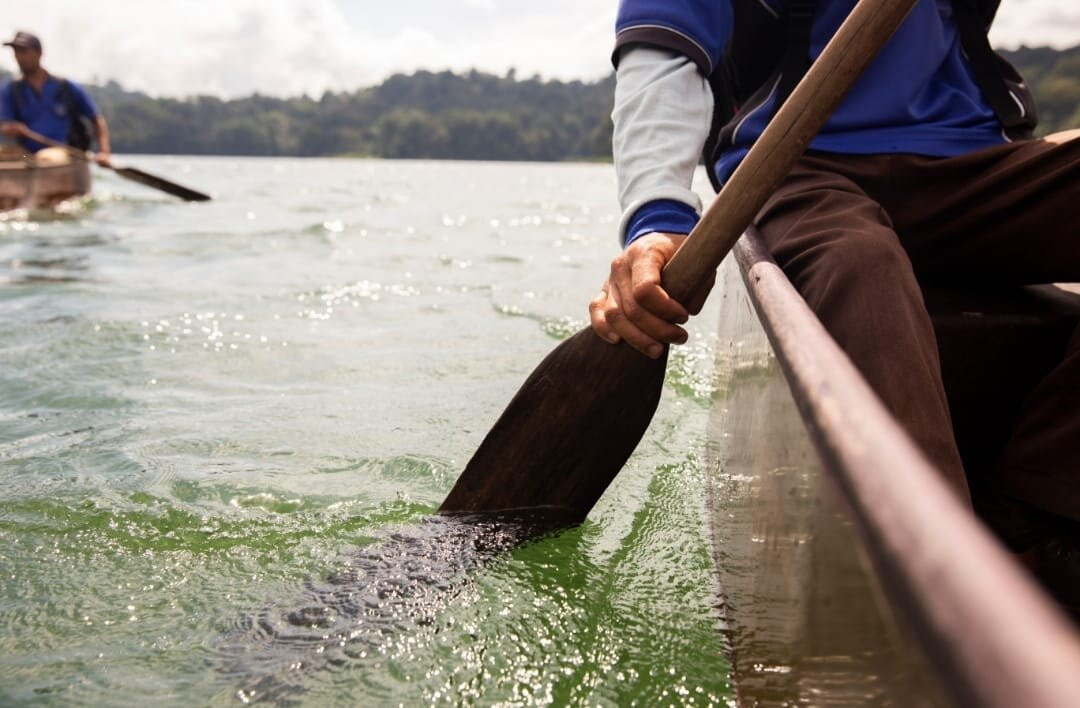 Tamblingan Jungle Trek And Lake Canoe Expedition景点图片