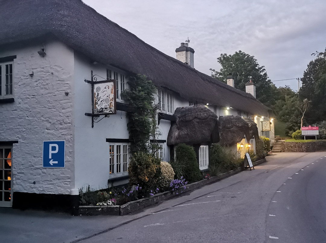 Hoops Inn & Country Hotel主图