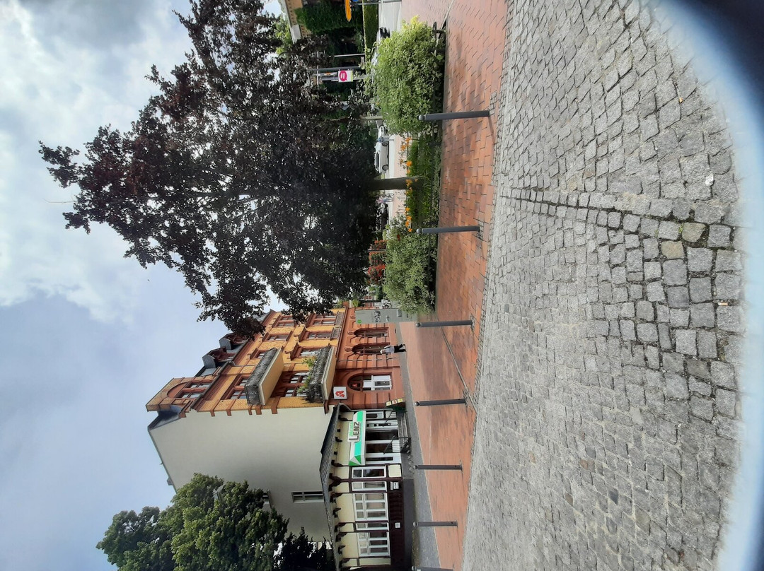 Heilig-Geist-Kirche/Altes Rathaus景点图片