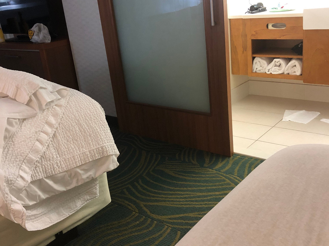SpringHill Suites by Marriott Voorhees Mt. Laurel/Cherry Hil主图