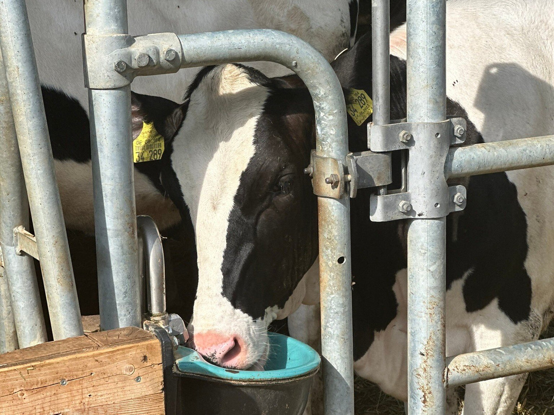 Hofgut Schleinsee主图