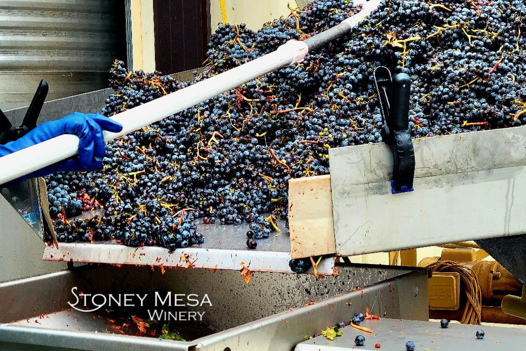 Stoney Mesa Winery景点图片