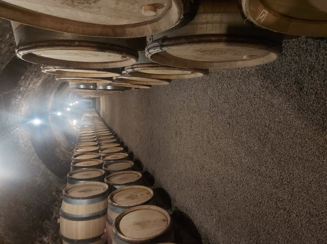 Domaine Bernard Delagrange et Fils景点图片