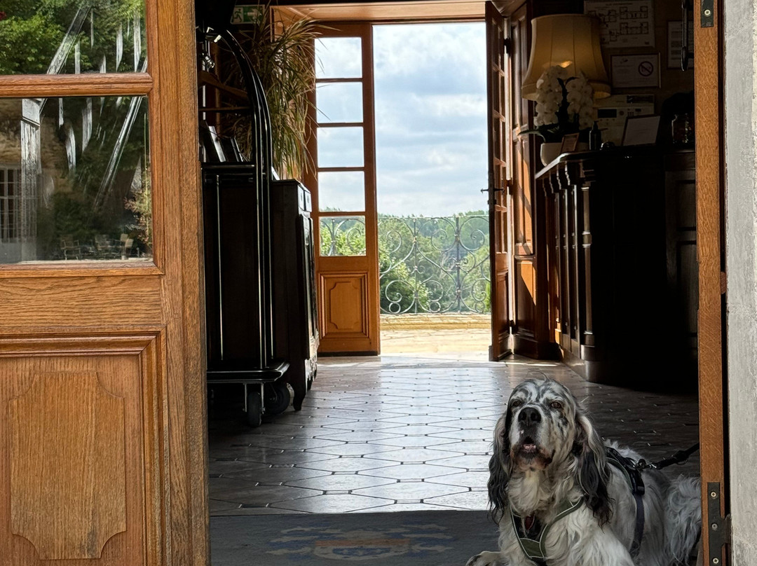 Château de Noizay主图