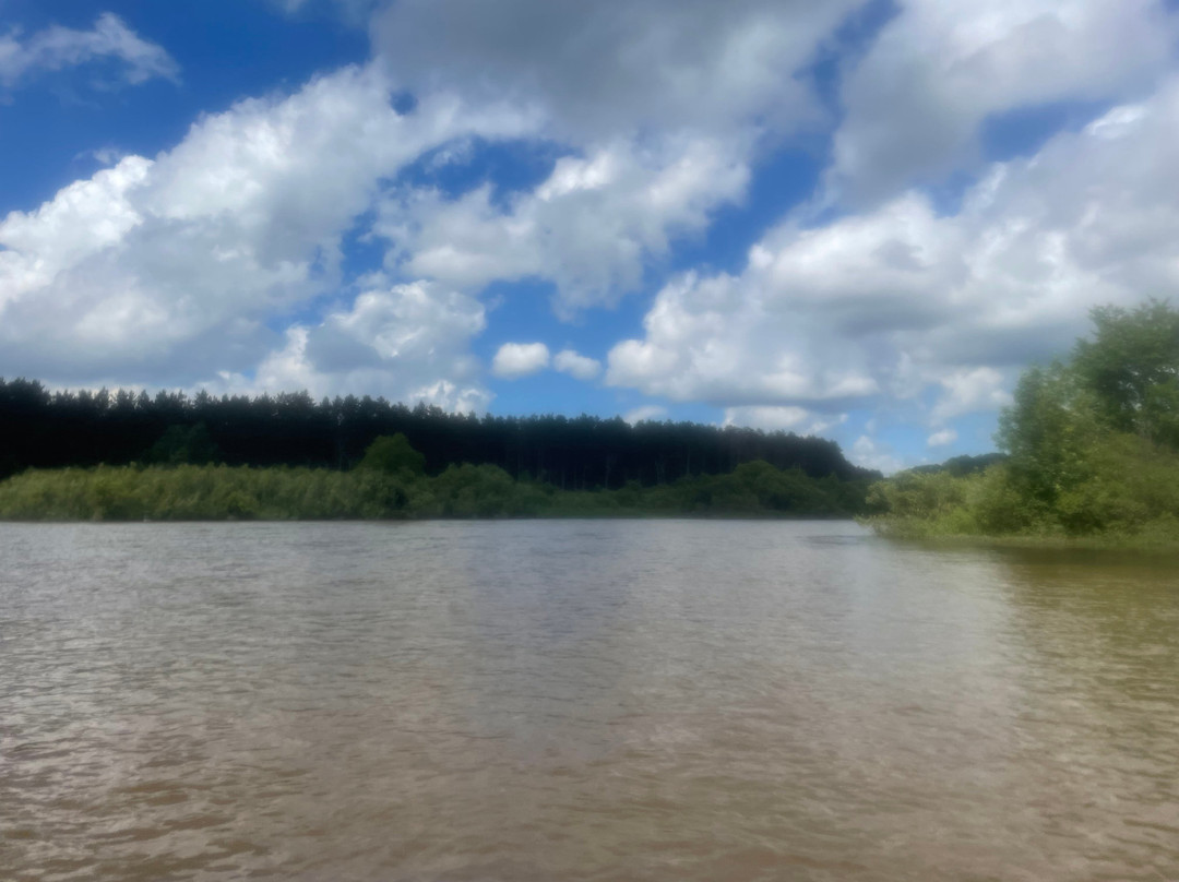 Wilderness Canoe Trips-Mesick必去景点