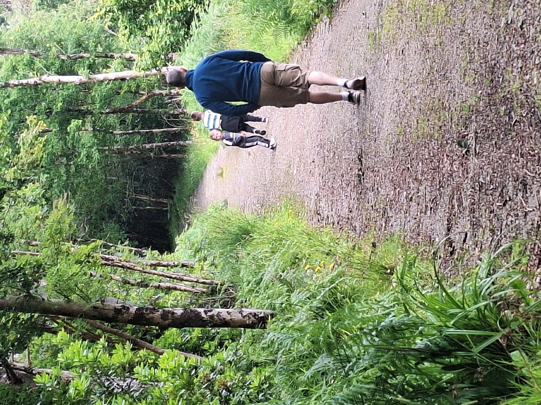 Ards Forest Park-County Donegal必去景点