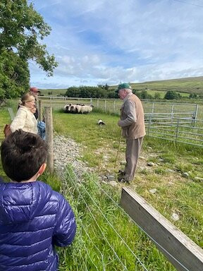Glen Keen Farm景点图片