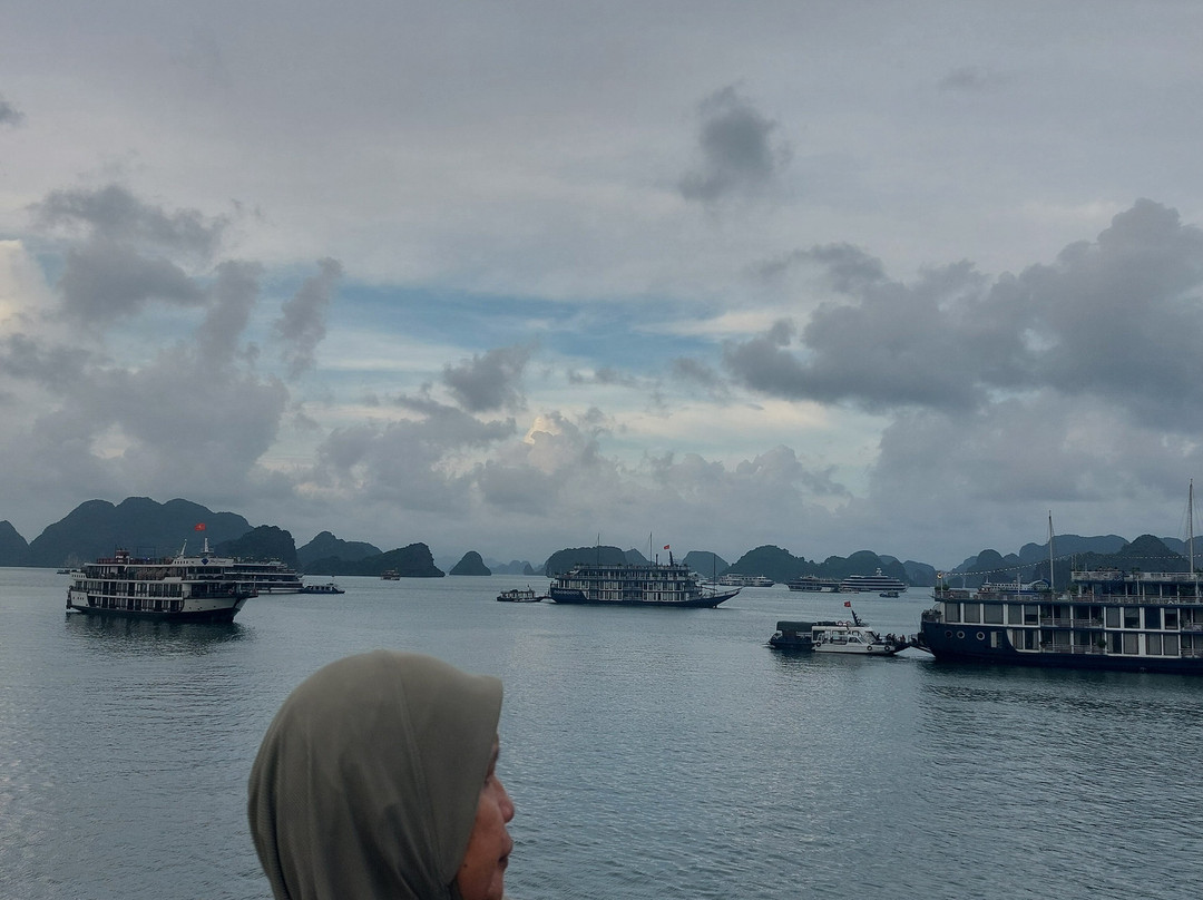 Lotus D'Orient Cruises-团洲岛必去景点