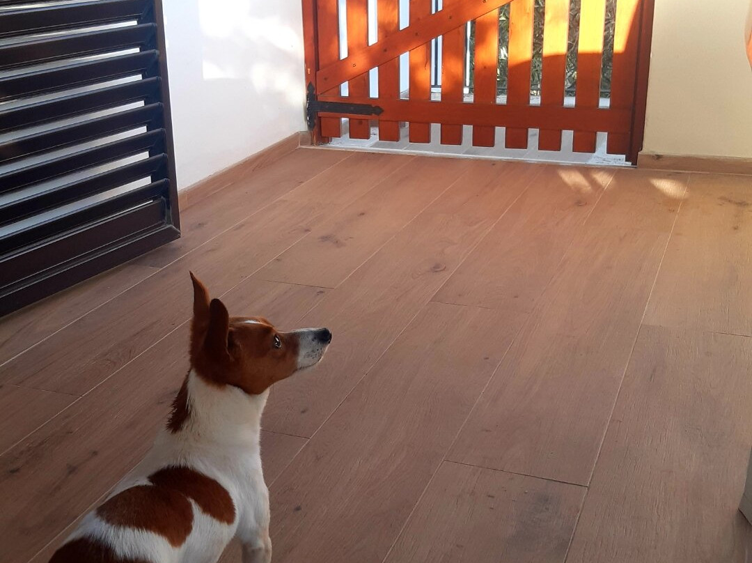 Agriturismo I Tesori del Sud Guest House主图