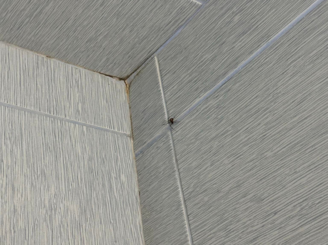 Art Hotel Galeria主图