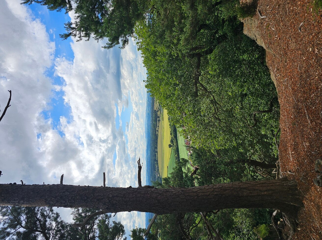 Nesscliffe Country Park-Nesscliffe必去景点