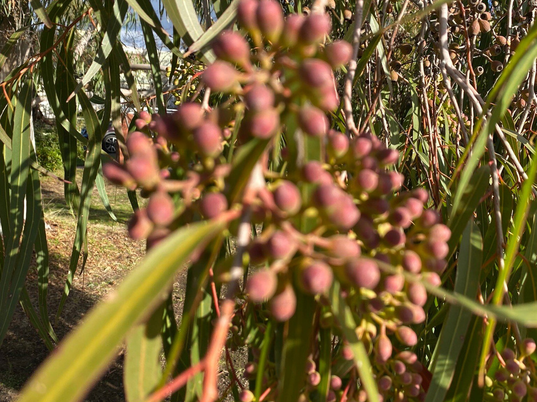 St Mary's Catholic Church-拉什沃思必去景点