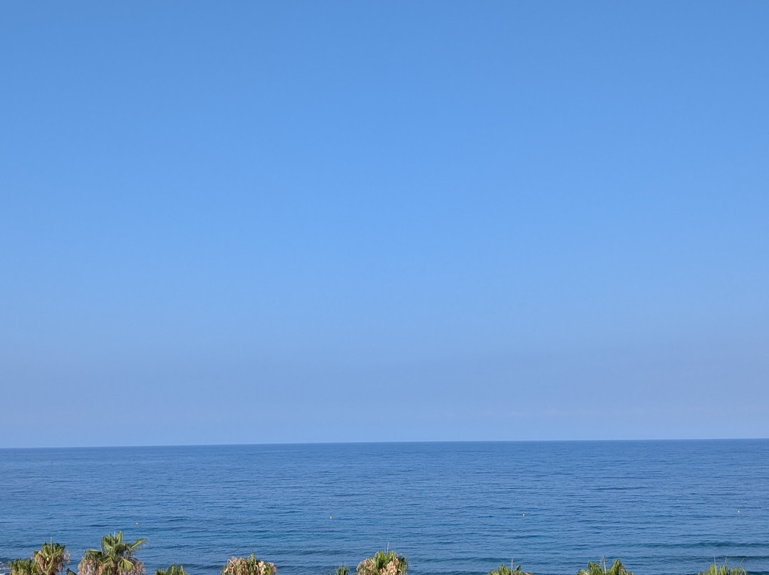 Aquamare Beach Hotel & Spa主图