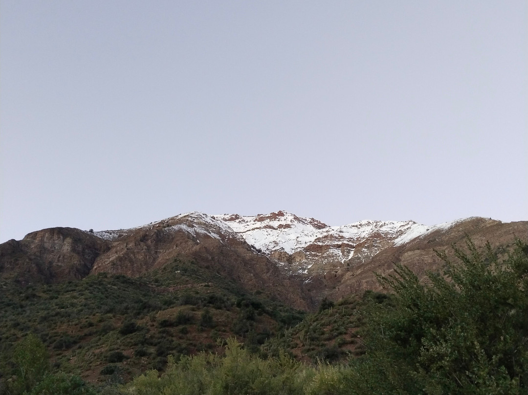 La Finca De Melocotón