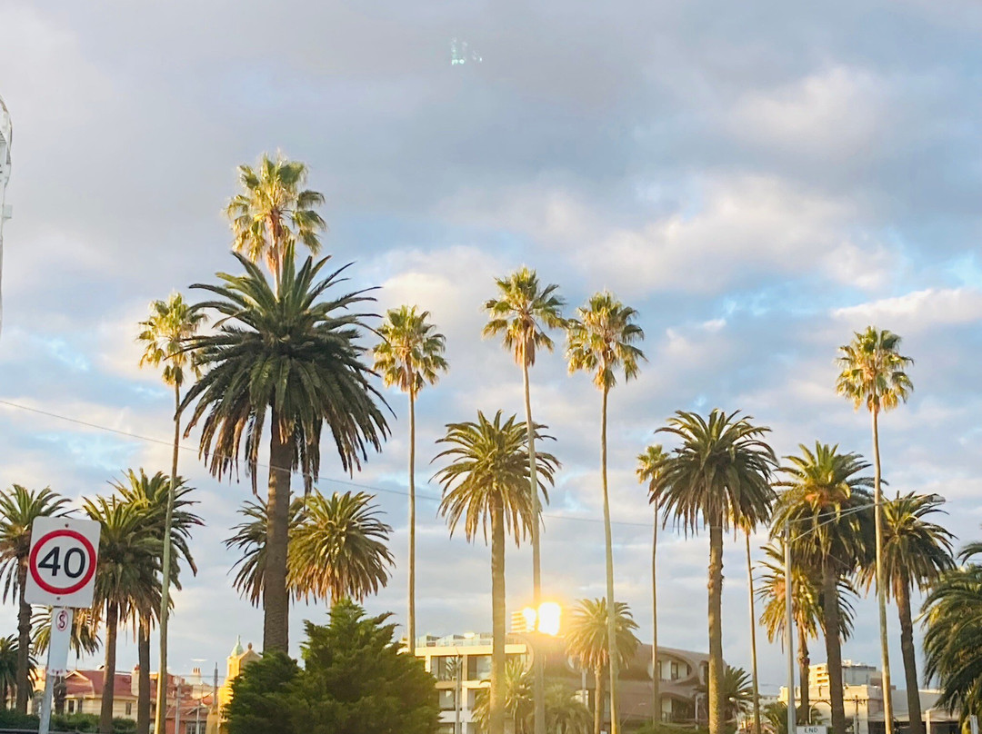 St Kilda Sea Baths景点图片