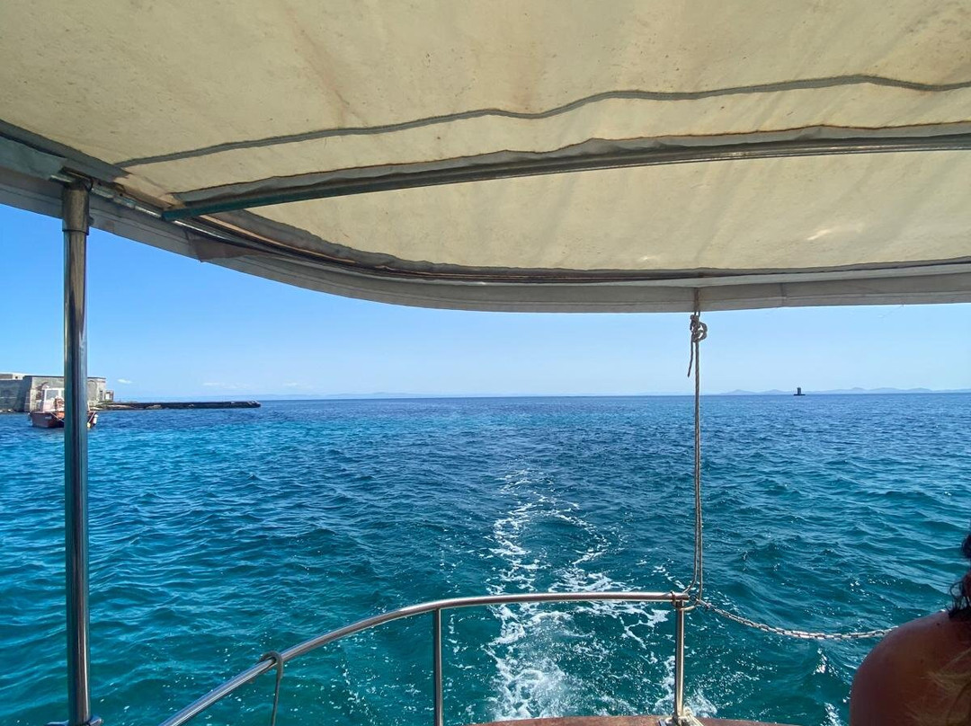 Pesca Turismo Asinara Orsa Maggiore-斯廷蒂诺必去景点