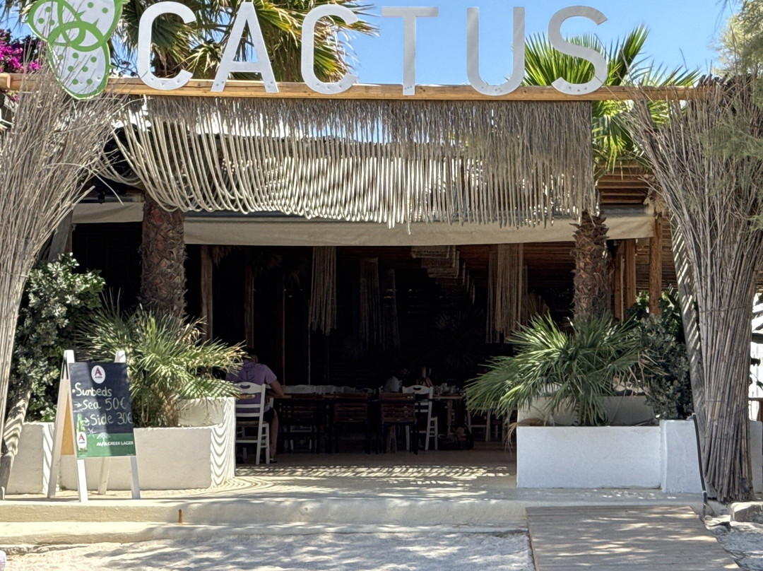 Cactus Beach Paros主图