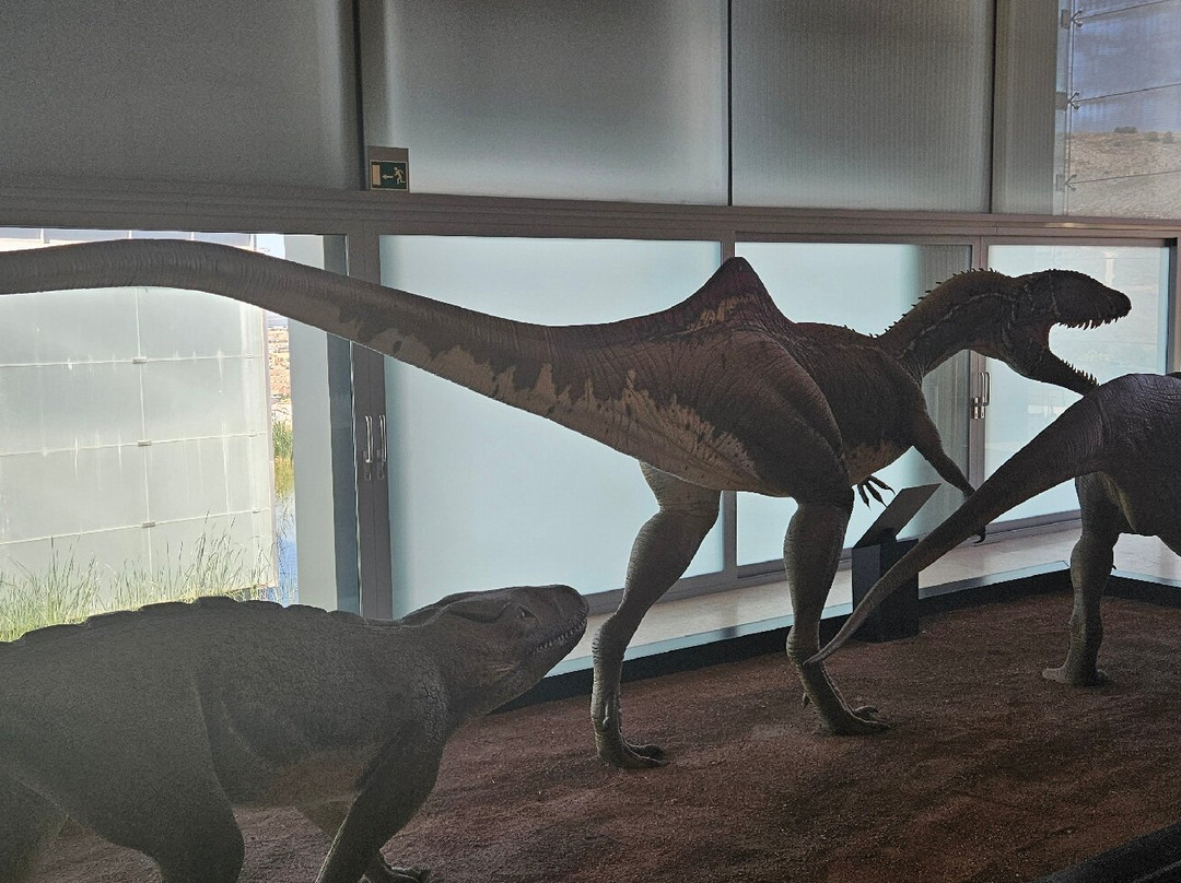 Museo de Paleontologia de Castilla-La Mancha景点图片
