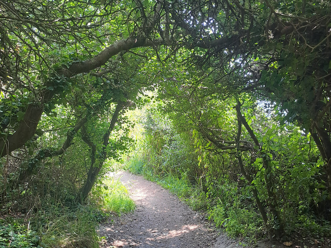 Pointe du Grand Mont-Saint-Gildas-de-Rhuys必去景点