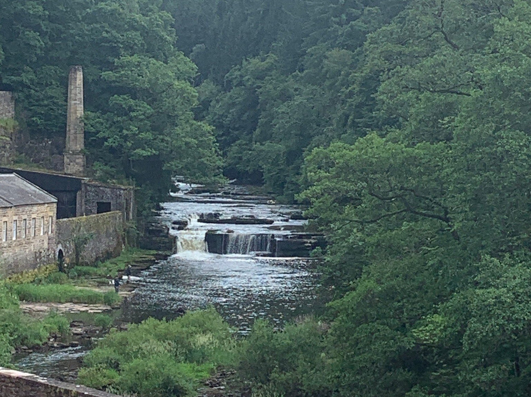 Falls of Clyde Visitor Centre and Wildlife Reserve景点图片