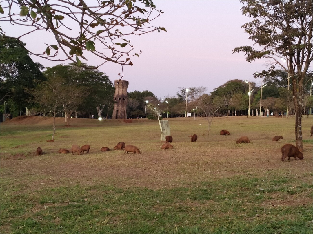Parque das Nações Indígenas-大坎普市必去景点