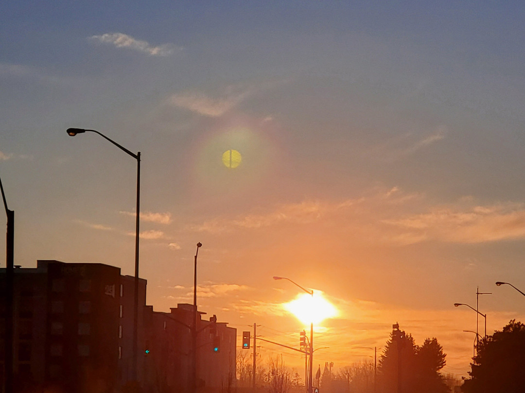 Best Western Thunder Bay Crossroads主图