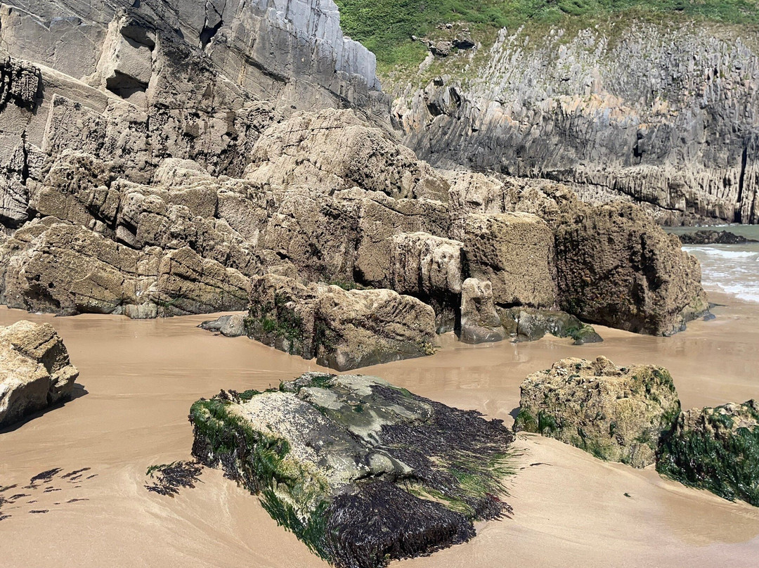 Skrinkle Haven Beach景点图片
