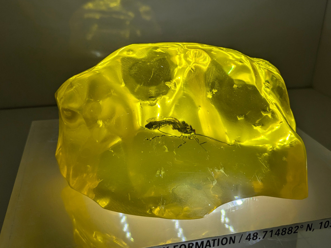 Jurassic World: The Exhibition-卡蒂必去景点