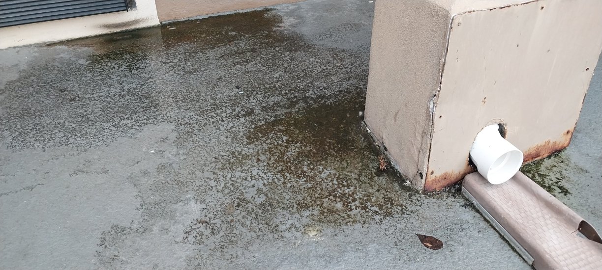 SureStay Plus By Best Western Jackson-浴室