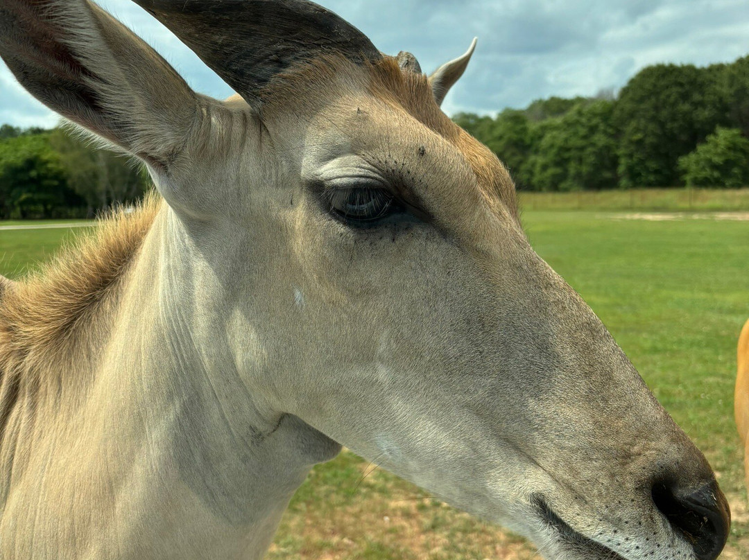 Shamba Safari-Neshkoro必去景点