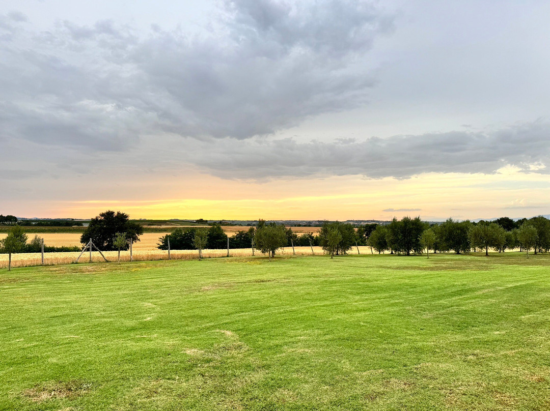 Podere Molinaccio主图