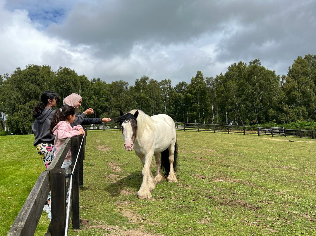 World Horse Welfare Belwade Farm-Aboyne必去景点