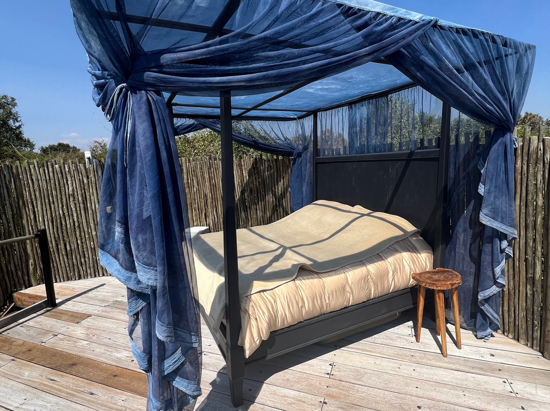Lion Camp Safari Lodge主图