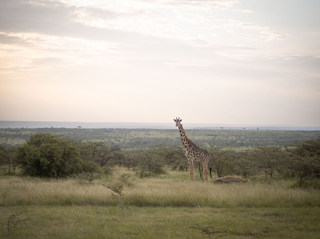 Kobe House Mara主图