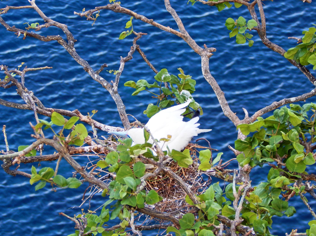 Baia dos Golfinhos-费尔南多-迪诺罗尼亚群岛必去景点