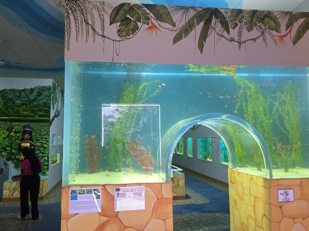 Aquarium Of The Amazon-伊基托斯必去景点