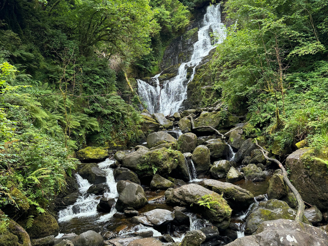 Chauffeur Tours of Ireland-Drogheda必去景点