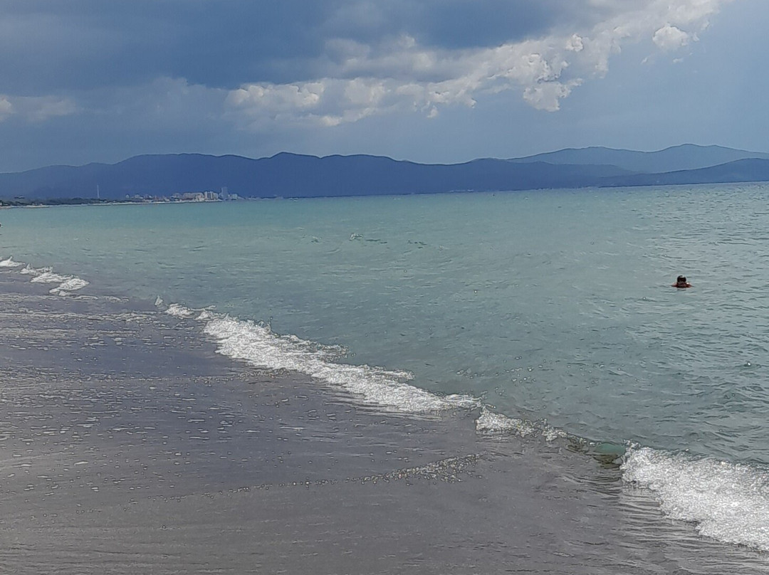 Mortelliccio Spiaggia Libera per Cani-皮翁比诺必去景点
