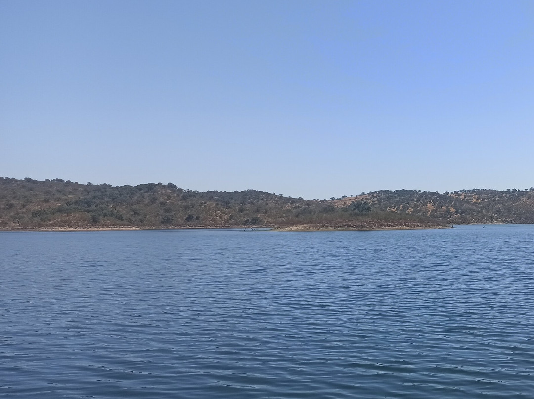 Herdade Do Rio Torto主图