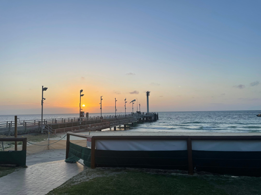 Tangalooma Wild Dolphin Feeding Program-天阁露玛必去景点
