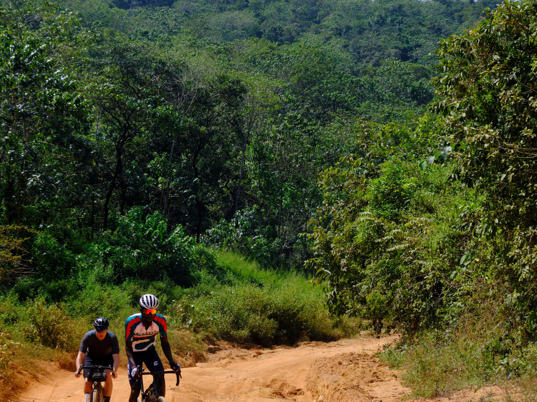 Sierra Leone Adventure Cycling Tours-Lunsar必去景点