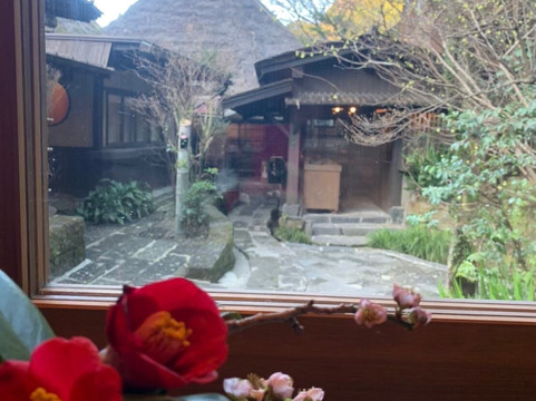 忘怀乡 雅叙苑主图