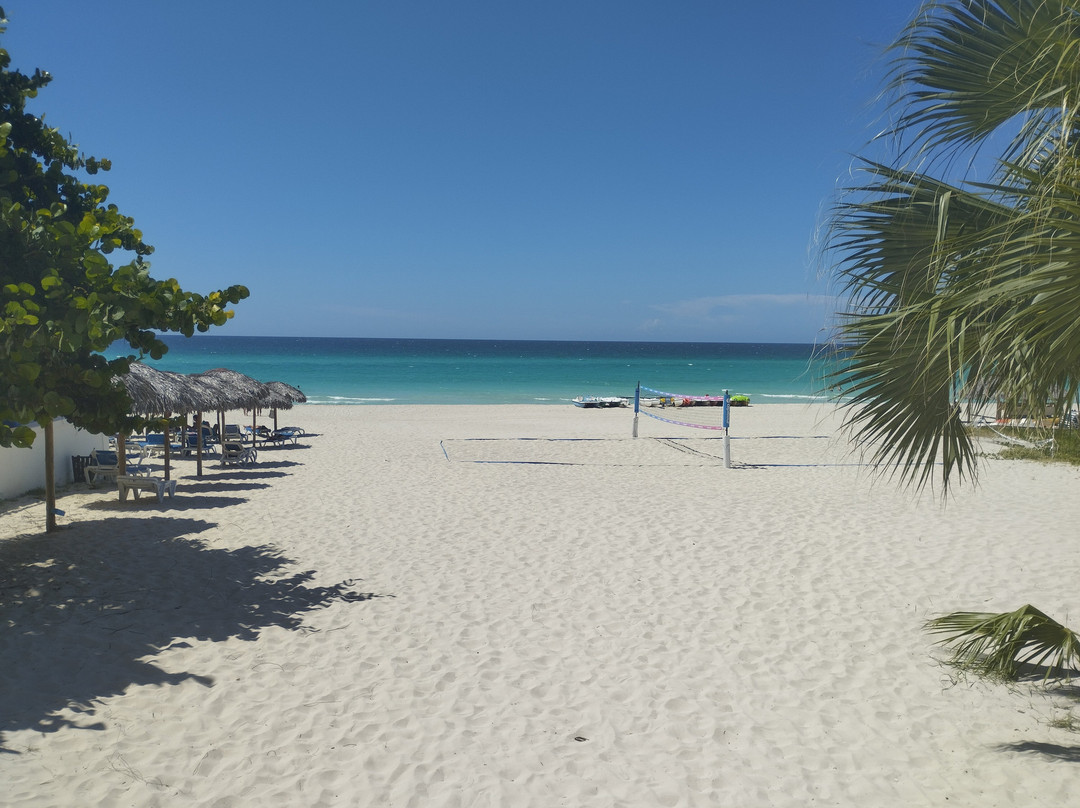 Starfish Las Palmas主图