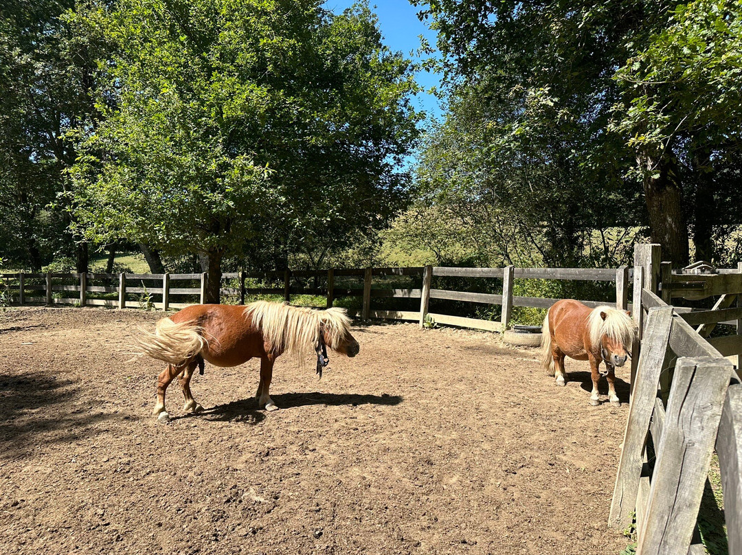 Camping Moulin De La Geneste主图
